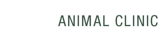 Town and Country Animal Clinic